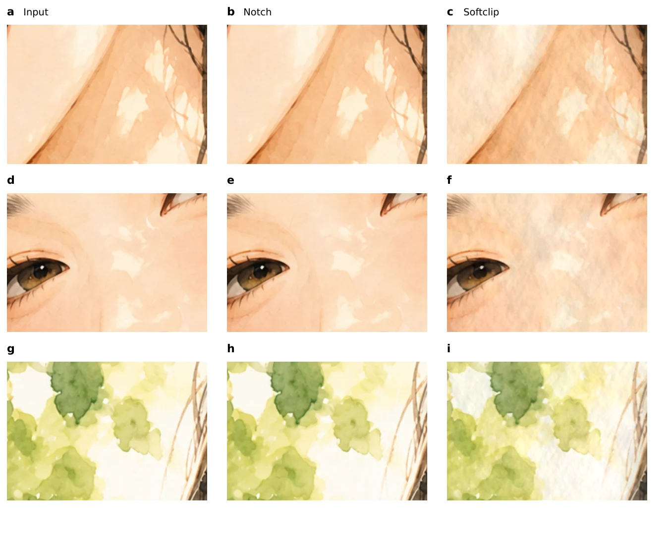 Input windows, selective notch outputs, and radial soft-clipping outputs for matched skin, eyes, and foliage regions.